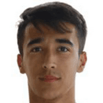 Mutlu Guler
