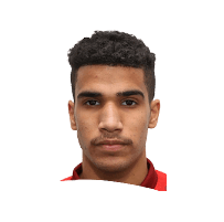 Hamed Al-Ghamdi 
