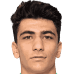 Amirmohammad Razzaghinia