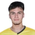 Egemen Aydın