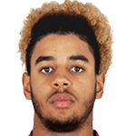 Willem Geubbels 