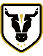 Bulls Academy